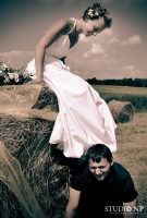 /album/studionp/dsc-0707-2-jpg/