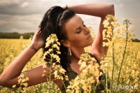 /album/studionp/dsc-0053-jpg/